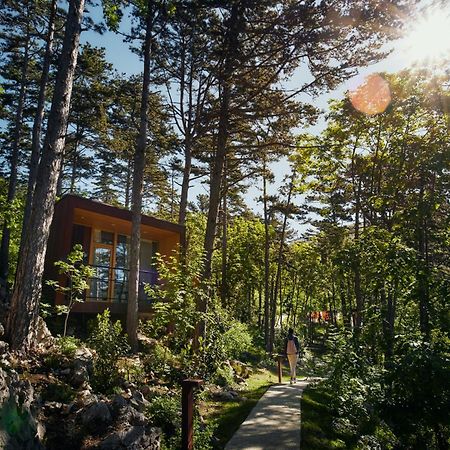 Theodosius Forest Village - Glamping In Vipava Valley Ngoại thất bức ảnh