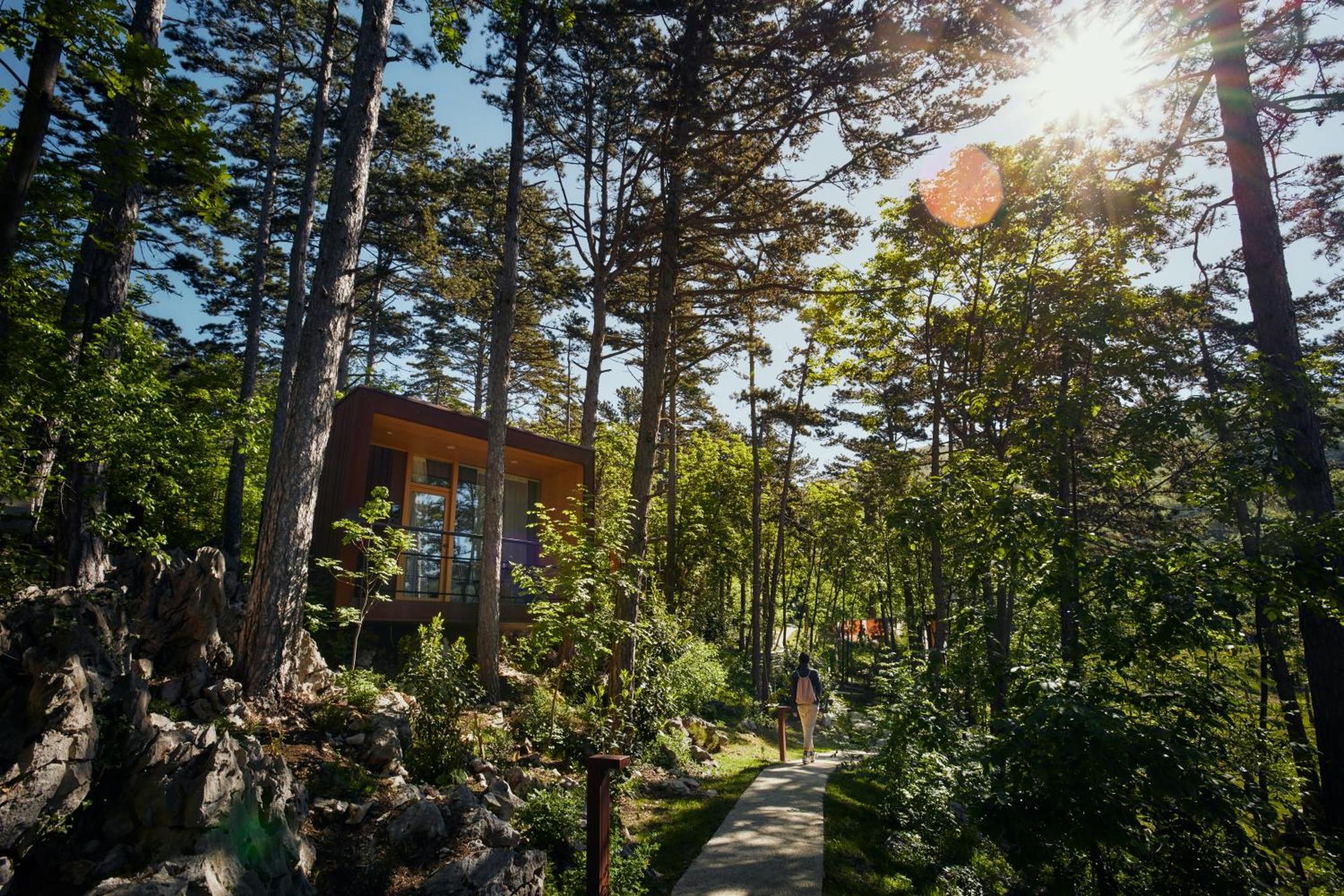 Theodosius Forest Village - Glamping In Vipava Valley Ngoại thất bức ảnh